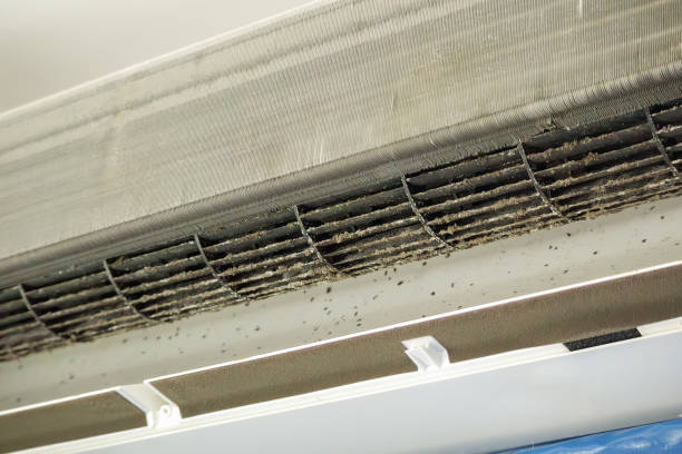 Best Affordable Air Duct Cleaning  in Oak Hills, OR